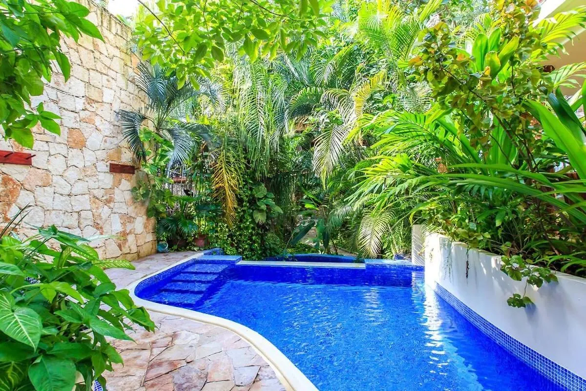 Beachside 3Br Penthouse With Private Pool And Ocean Views Playa del Carmen Holiday home